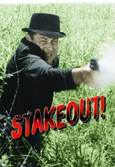 Stakeout! (1962) - Stream Online