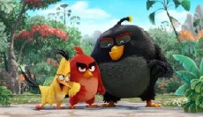 The Angry Birds Movie (2016) - Stream Online