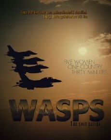Wasps (2017) - Stream Online