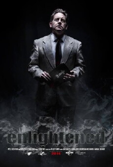 Enlightened (2015) - Stream Online