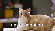 Up for Adoption (2017) - Stream Online