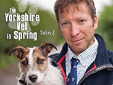 The Yorkshire Vet (2015) - Stream Online