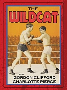 The Wildcat (1925) - Stream Online