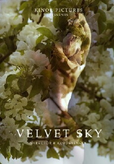Velvet Sky (2017) - Stream Online