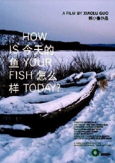 How Is Your Fish Today? (2006) - Stream Online