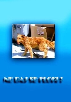 Ne daj se, Floki! (1986) - Stream Online