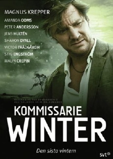 Kommissar Winter (2010) - Stream Online