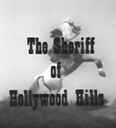 The Sheriff of Hollywood Hills (1974) - Stream Online