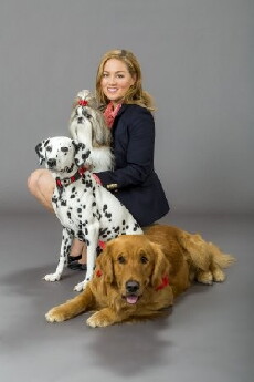 My Boyfriends' Dogs (2014) - Stream Online