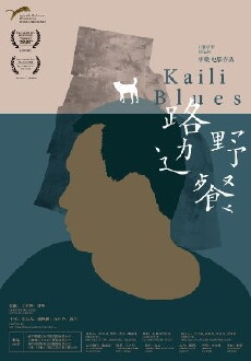 Kaili Blues (2015) - Stream Online