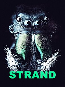 Strand (2018) - Stream Online