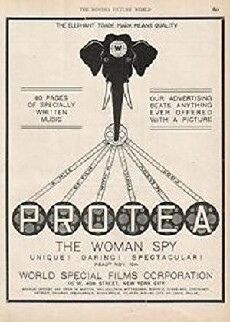 Protéa (1913) - Stream Online