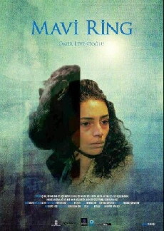The Blue Van (2013) - Stream Online