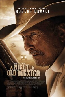 A Night in Old Mexico (2013) - Stream Online