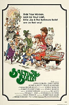 The Baltimore Bullet (1980) - Stream Online