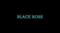 Black Rose (2019) - Stream Online