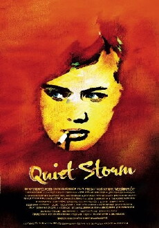 The Quiet Storm (2007) - Stream Online