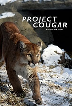 Project Cougar (2001) - Stream Online