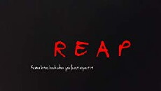 Reap (2017) - Stream Online