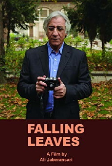 Falling Leaves (2013) - Stream Online