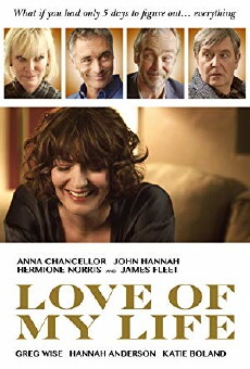 Love of My Life (2017) - Stream Online
