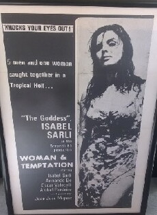 Woman and Temptation (1966) - Stream Online