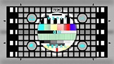 Video on Trial (2005) - Stream Online