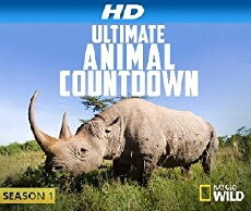 Ultimate Animal Countdown (2013) - Stream Online