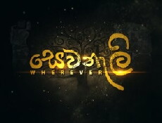 Wherever (2013) - Stream Online