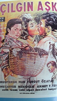 The Crazy Love (1961) - Stream Online