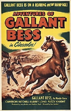 Adventures of Gallant Bess (1948) - Stream Online