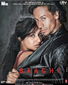 Baaghi (2016) - Stream Online