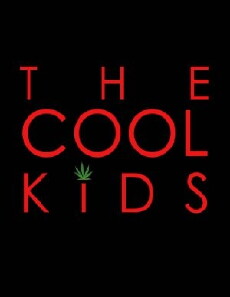 The Cool Kids (2016) - Stream Online