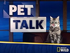 Pet Talk (2016) - Stream Online