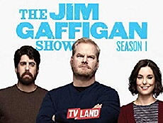 The Jim Gaffigan Show (2015) - Stream Online