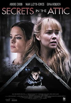 Boy in the Attic (2016) - Stream Online