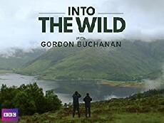 Into the Wild with Gordon Buchanan (2016) - Stream Online