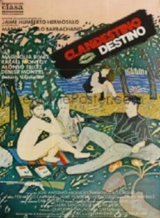 Clandestino destino (1987) - Stream Online