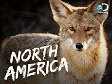 North America (2013) - Stream Online