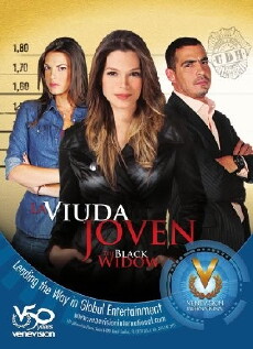 La viuda joven (2011) - Stream Online
