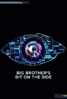 Big Brother's Bit on the Side (2011) - Stream Online