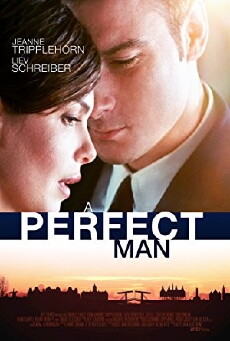 A Perfect Man (2013) - Stream Online