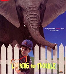 Looking for Trouble (1996) - Stream Online