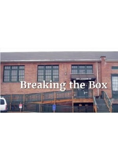 Breaking the Box (2016) - Stream Online