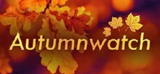 Autumnwatch (2006) - Stream Online
