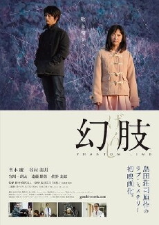 Phantom Limb (2014) - Stream Online