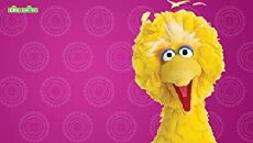 Sesame Street's Big Bird Looks at the World (2010) - Stream Online