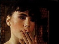 Schöne lahme Ferien (1980) - Stream Online