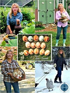 Fresh Eggs Daily with Lisa Steele (2016) - Stream Online