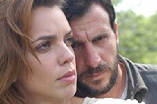Au nom de la loi (2005) - Stream Online